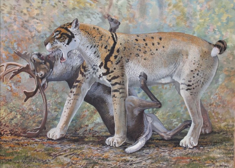 Смилодон популятор