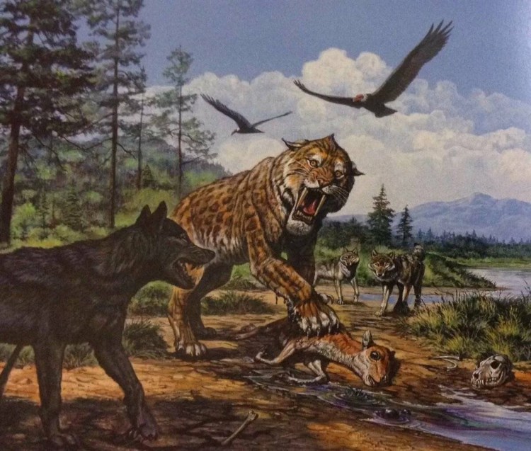 Смилодон Fatalis