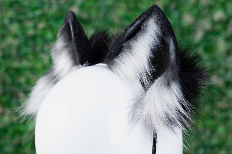 Кошачьи ушки