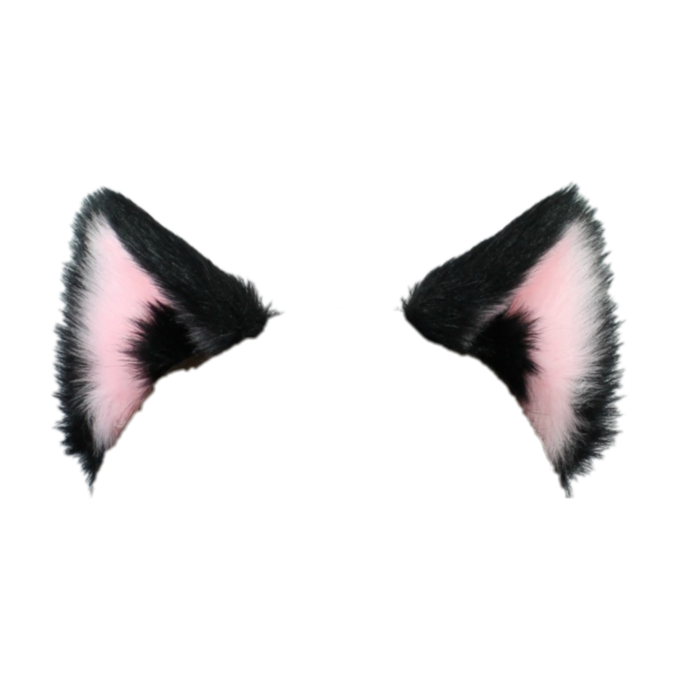 Кошачьи уши без фона