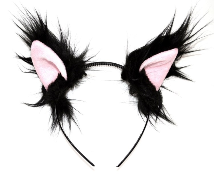 Кошкины уши