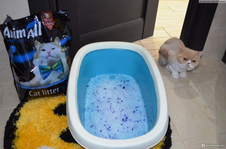 Наполнитель для кошачьего туалета песок