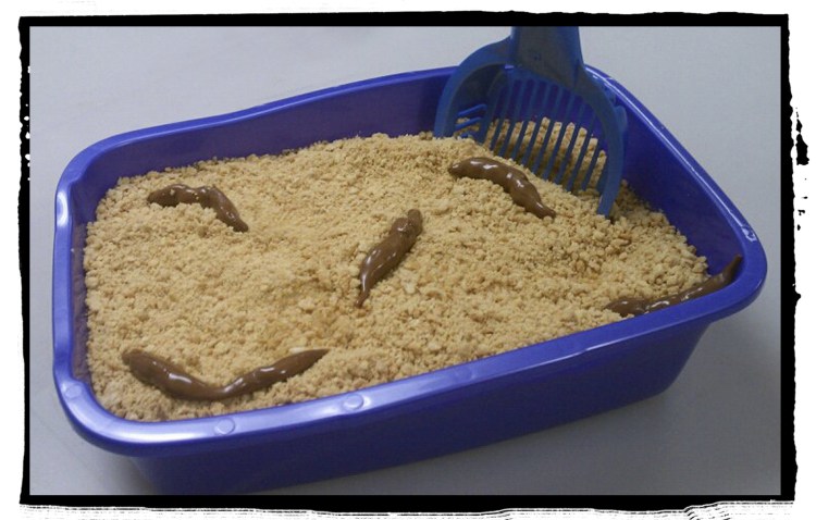 Наполнитель для кошачьего туалета