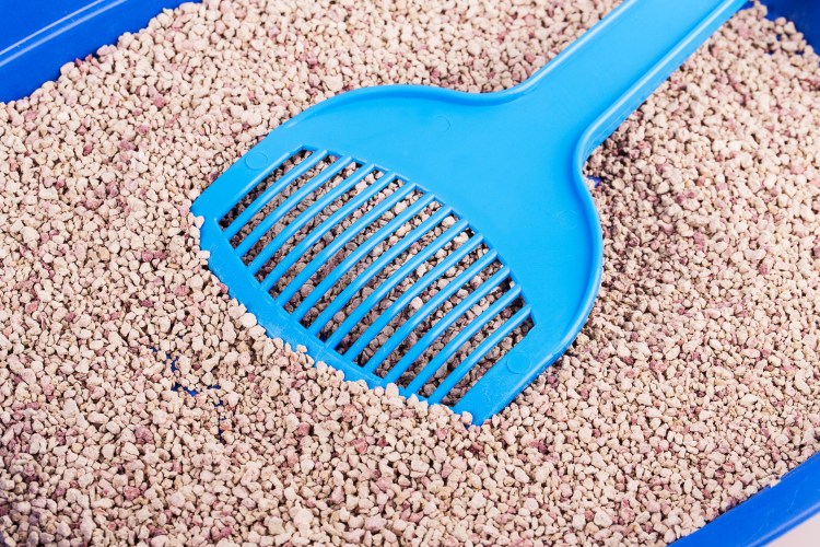 Комкующийся наполнитель для кошачьего туалета в лотке