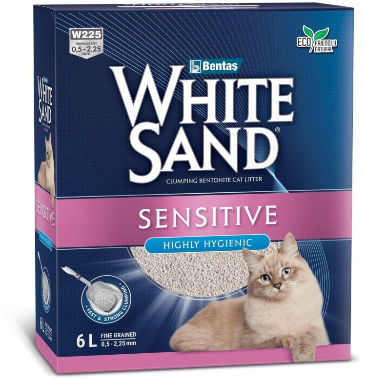 Посев семян цветов в кошачий наполнитель