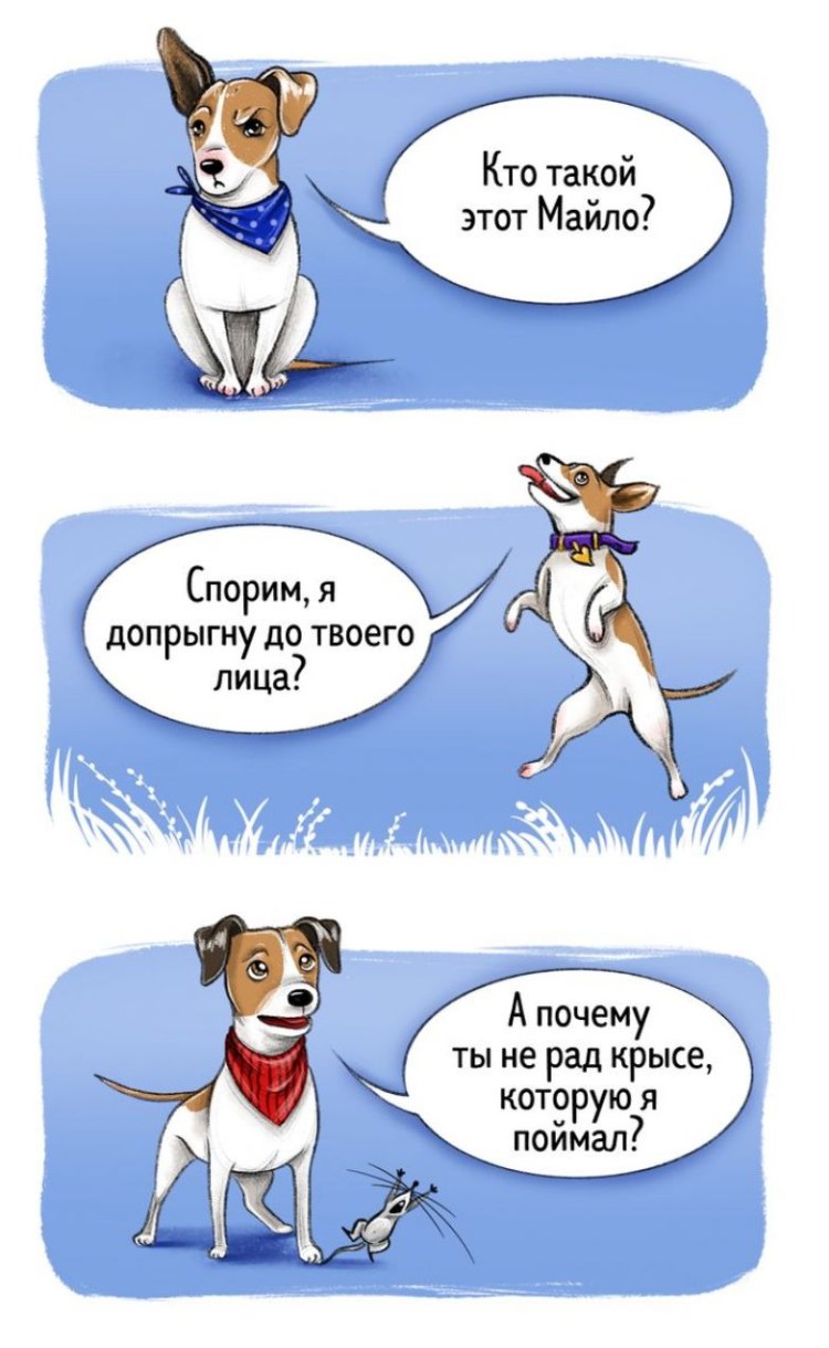 Джек Рассел шутка