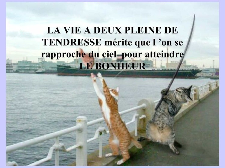 Кошка для рыбалки