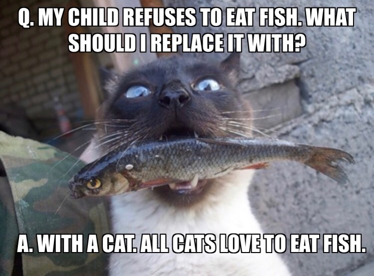 Кот стащил рыбу