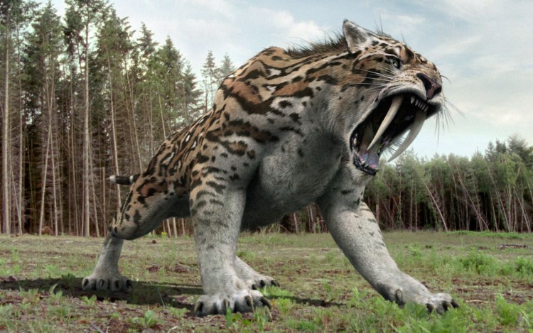 Cмилодон (Саблезубый тигр)