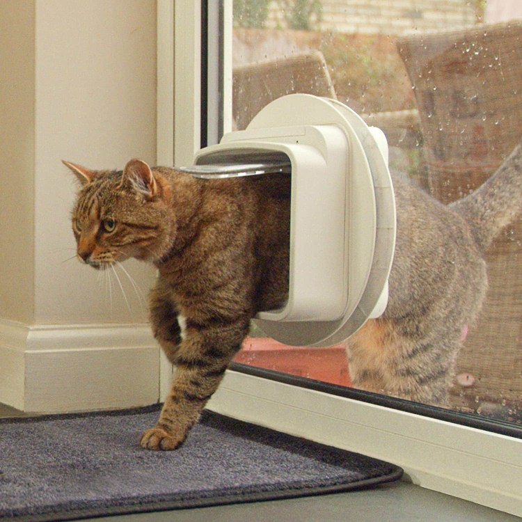 Дверца для кошек в стену