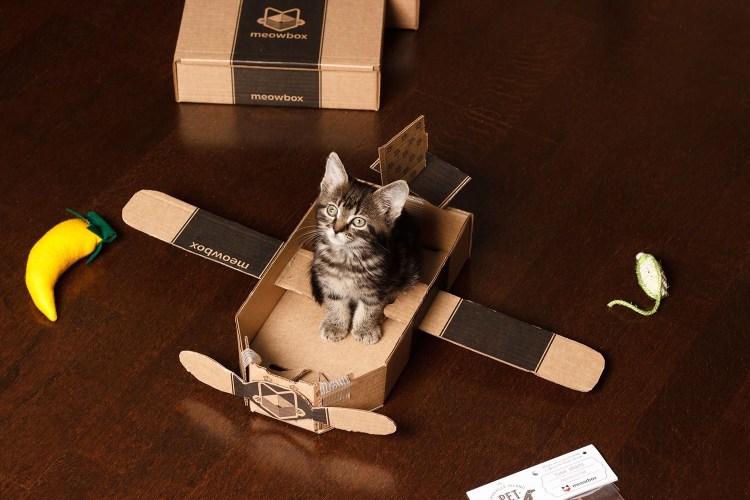 Котик в коробке в самолете