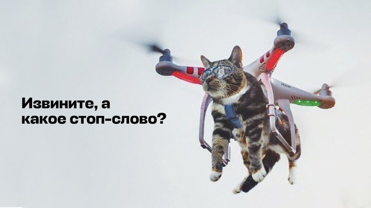 Кот квадрокоптер