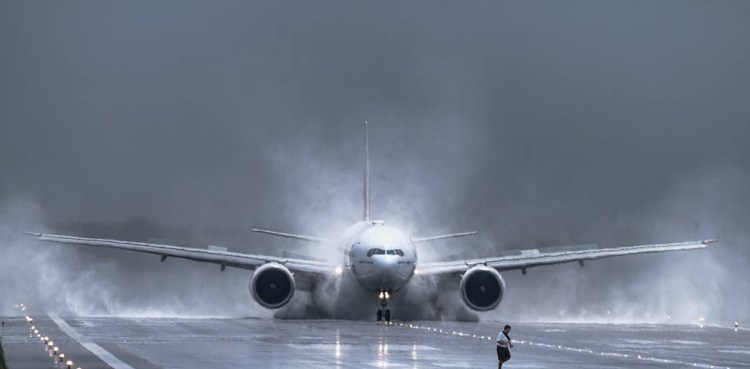 Кот бомбардировщик