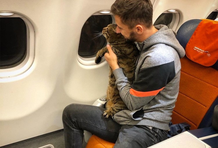 Михаил Галин и кот Виктор