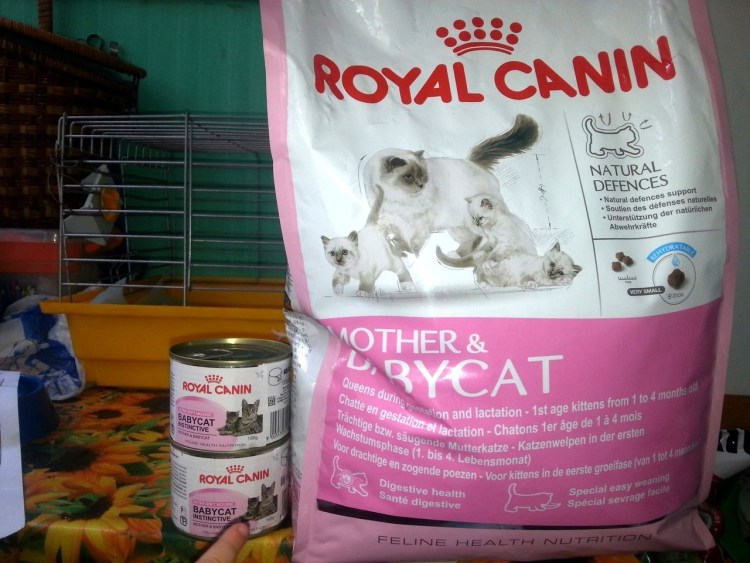 Royal Canin Kitten Instinctive