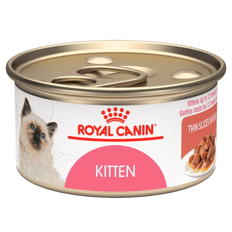 Корм Роял Канин для персов 12 +