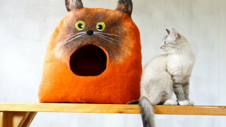 Прикольные кошачьи домики