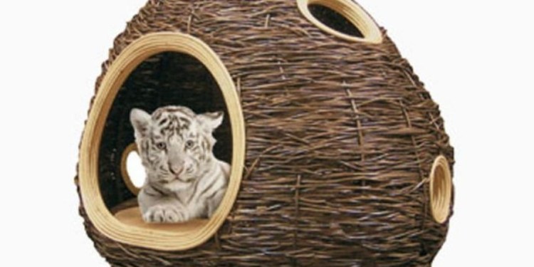 Креативные домики для кошек