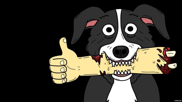 Мистер Пиклз порода собаки