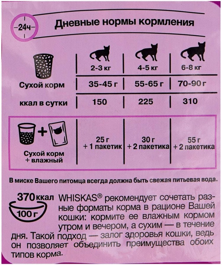 Котик с едой