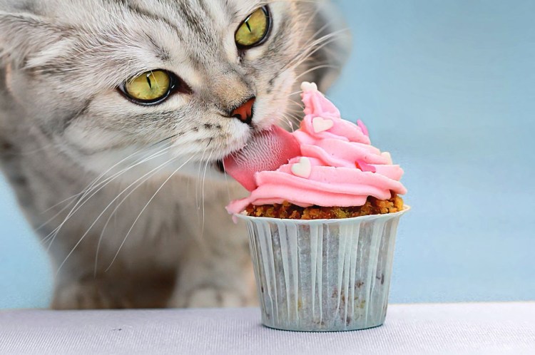 Молочные продукты