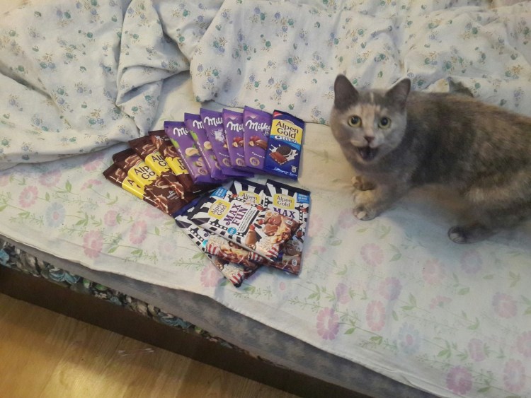 Кот с подарком