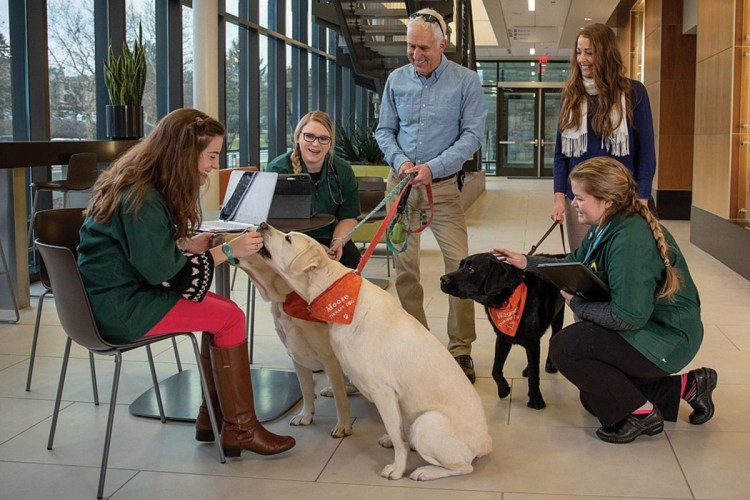 Канистерапия собака терапевт