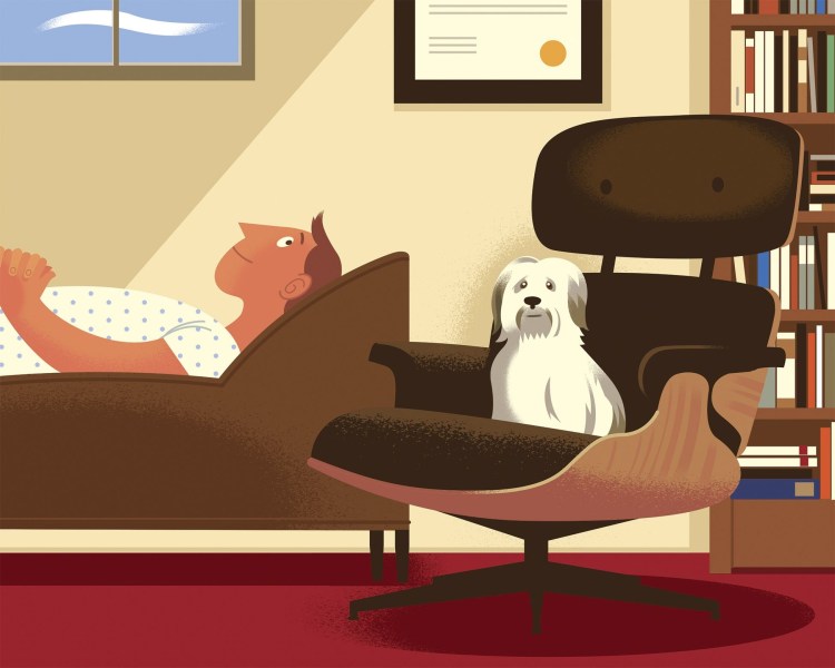 Питомец - депрессия