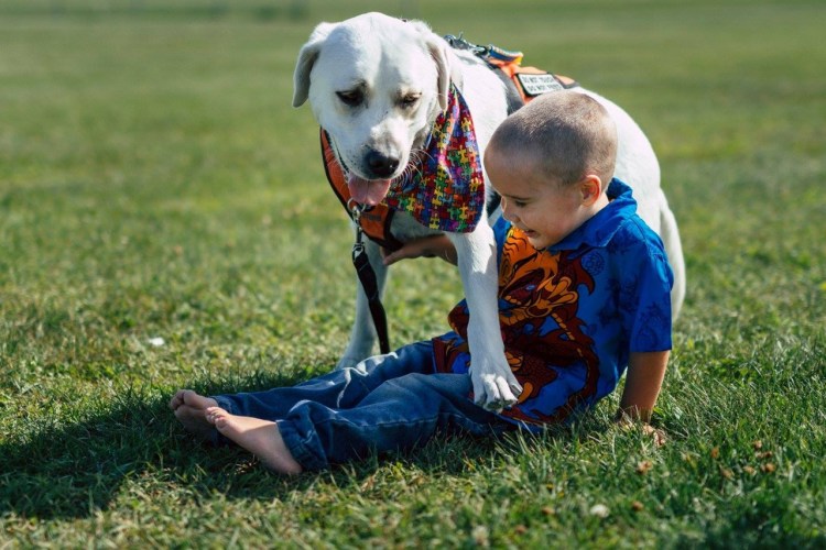 Зондирование животных