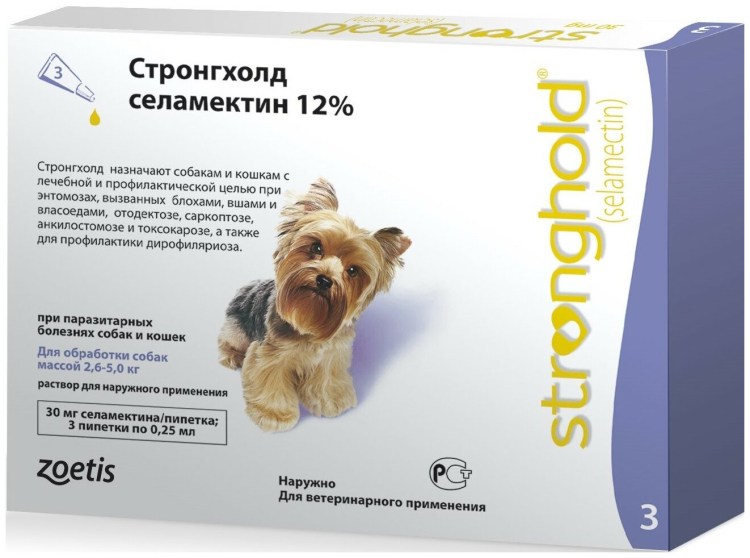 Ветеринар с собакой