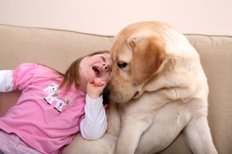 Терапия общение с животными