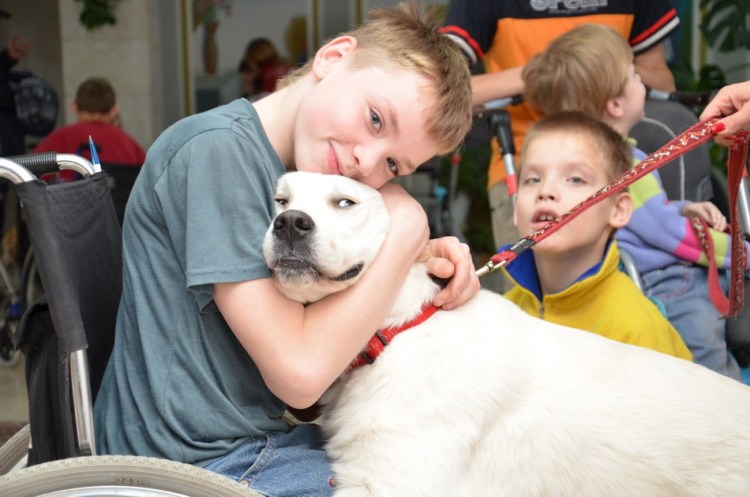 Собака в ветклинике