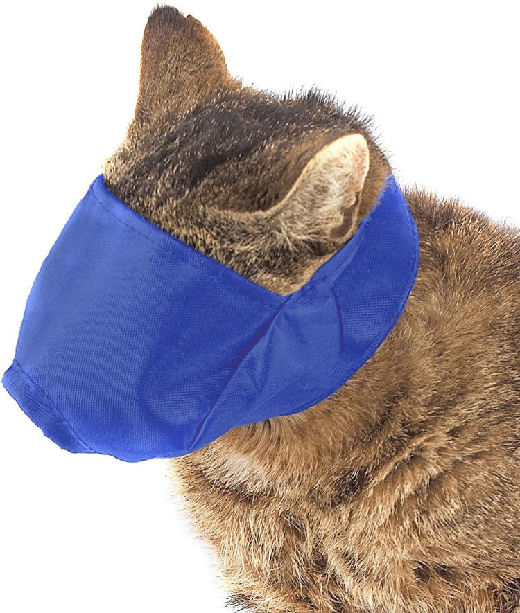 Osso ветеринарный Елизаветинский воротник р.s