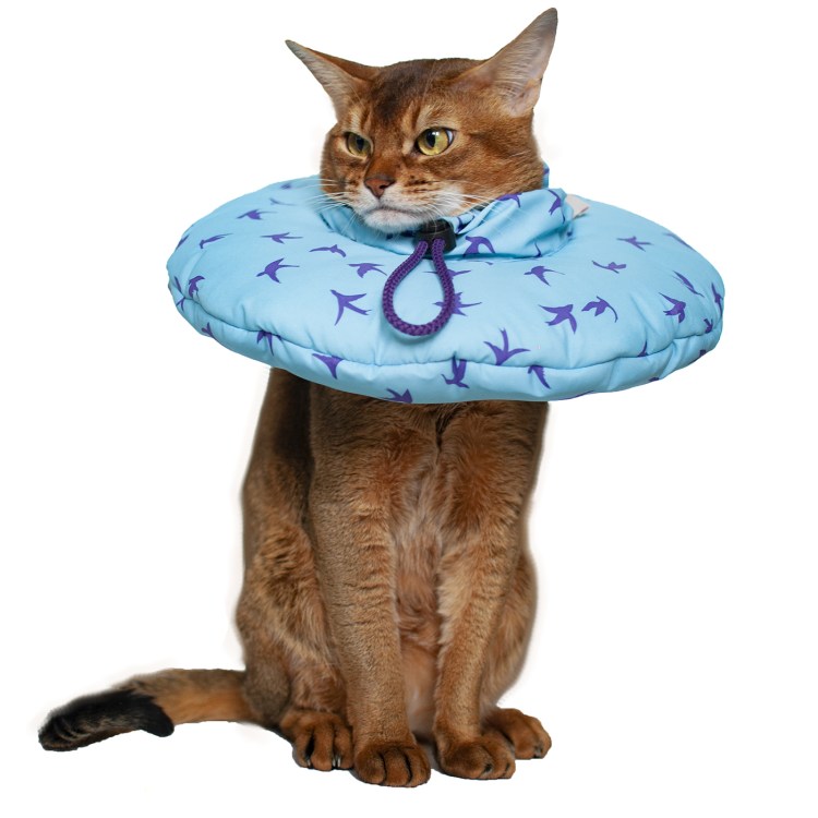 Воротник защитный Trixie для собак надувной