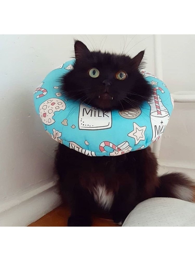 Воротник послеоперационный (Елизаветинский