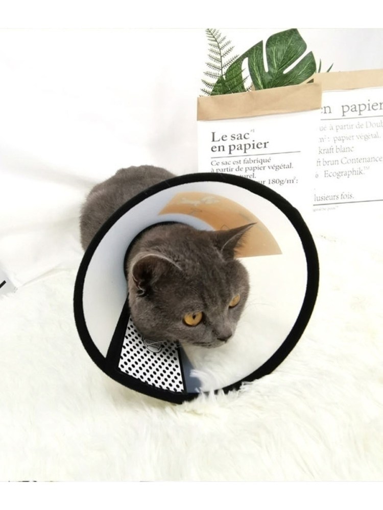 Воротник для кошки