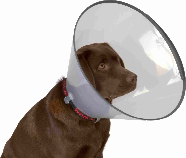 Мягкий воротник для кошек