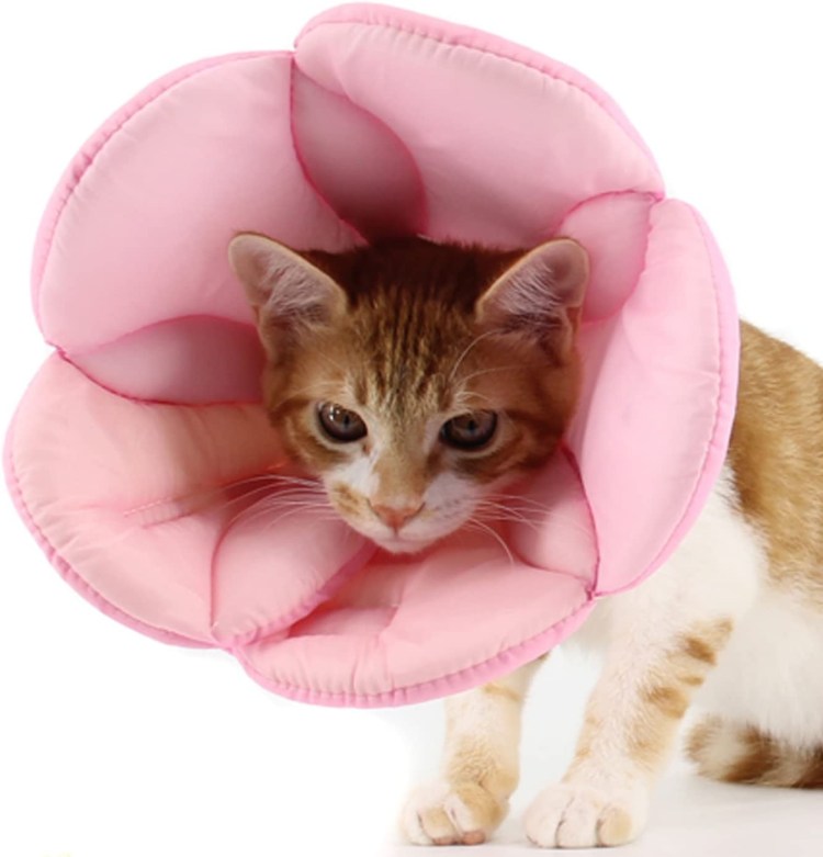 Надувной воротник для собак