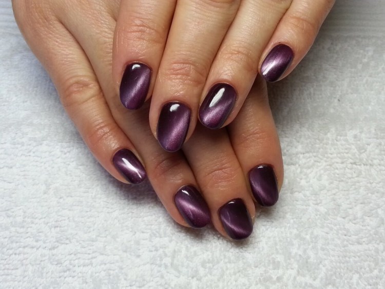 Мигательная перепонка (третье веко)