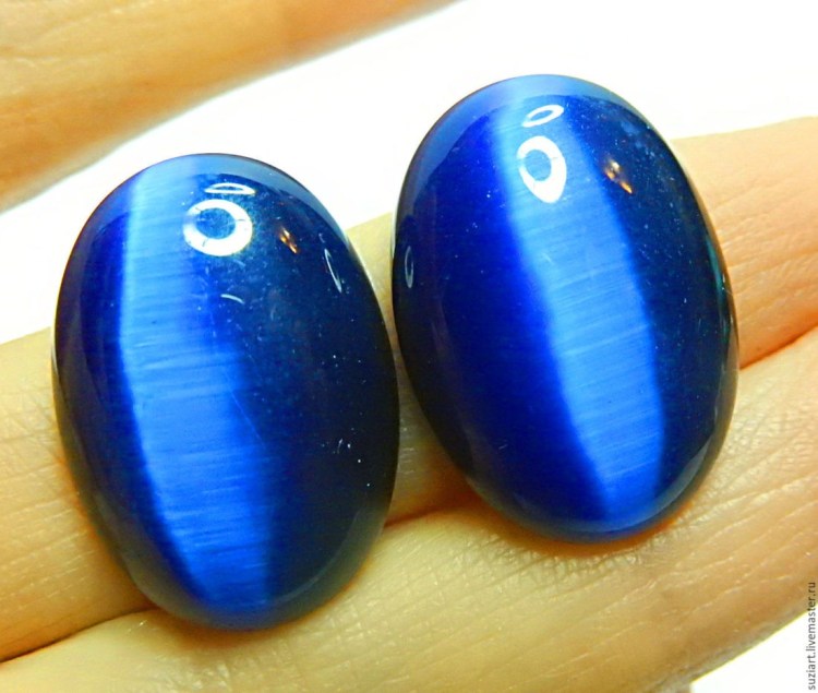 Анизокория у кота