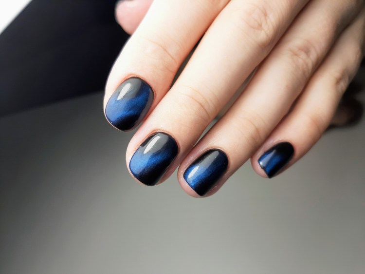 Бурманская кошка с голубыми глазами