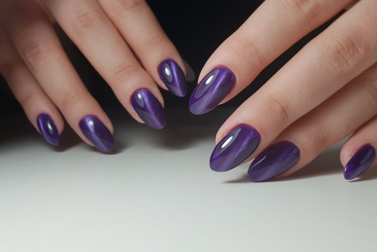 Мигательная перепонка у кошек