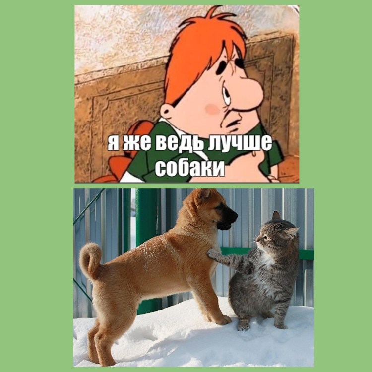 Малыш я лучше собаки