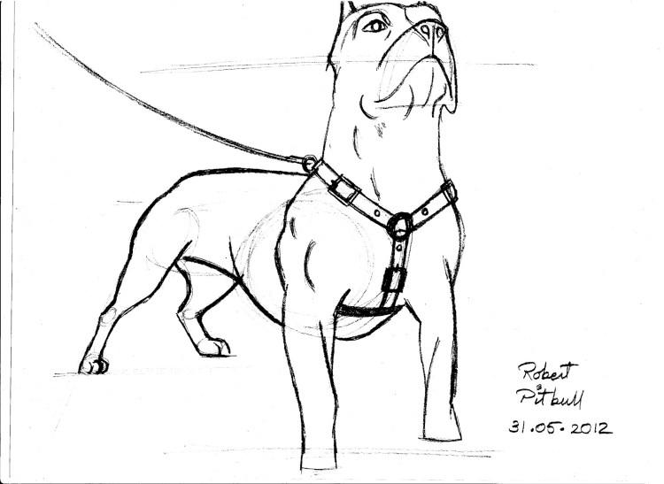 Пес Друппи мультфильм
