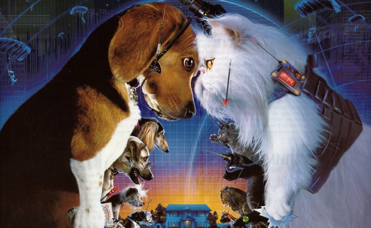 Кошки лучше собак