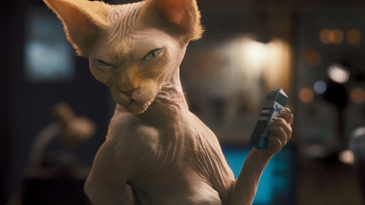 Забавные кошечки и собачки