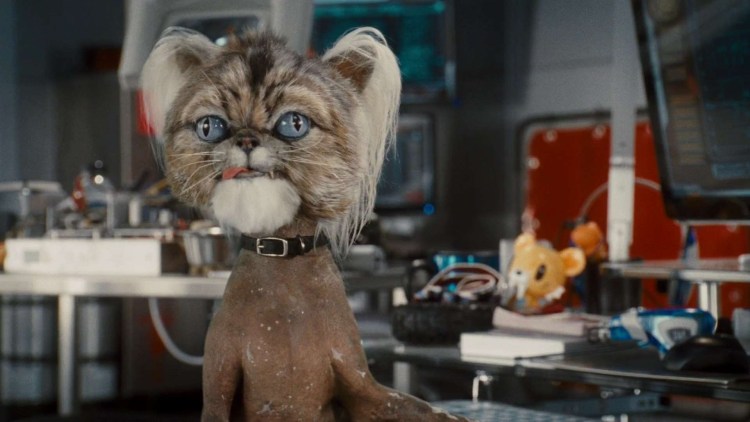 Кот против собаки