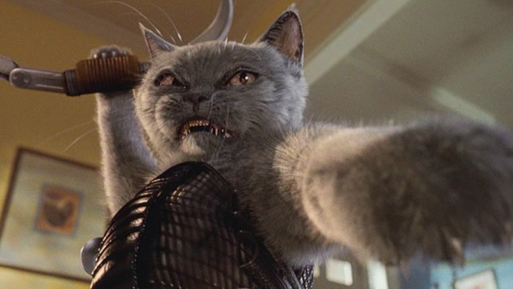 Кошки против собак 2 месть Китти Галор