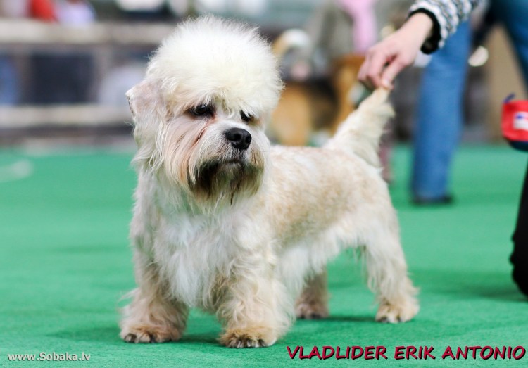 Чарльз Бертон барбер Гелерт