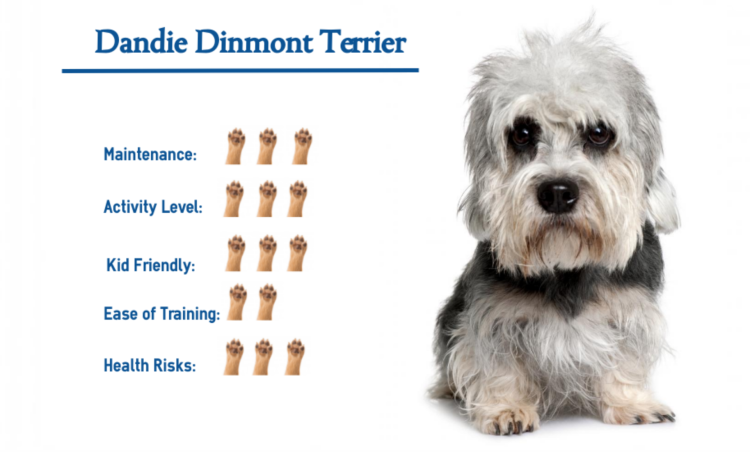 Охота на уток игра Денди